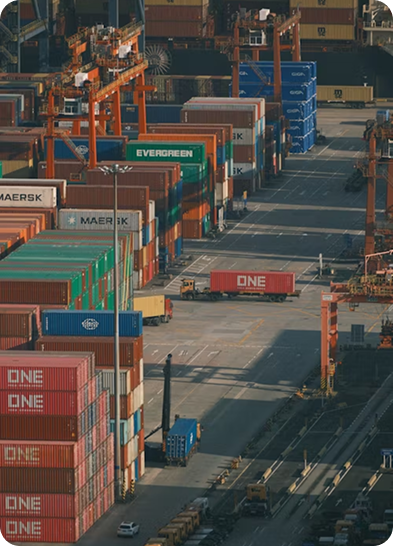 PLT mở rộng đội xe, tăng tốc vận chuyển toàn quốc.